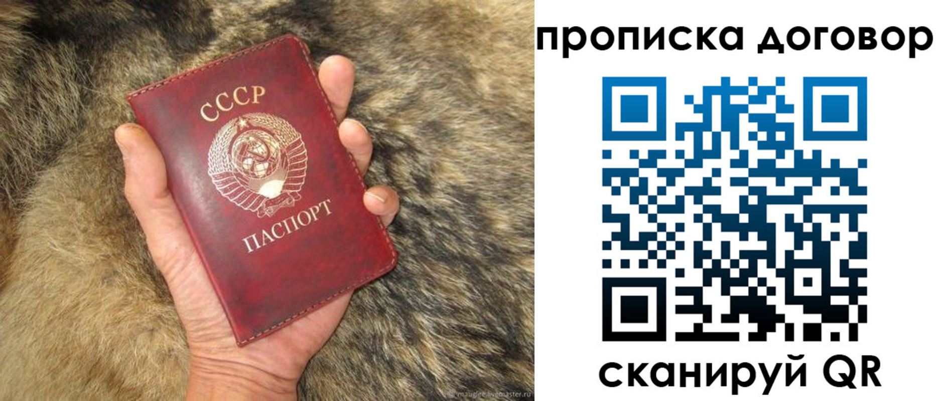прописка регистрация в Новгородской области